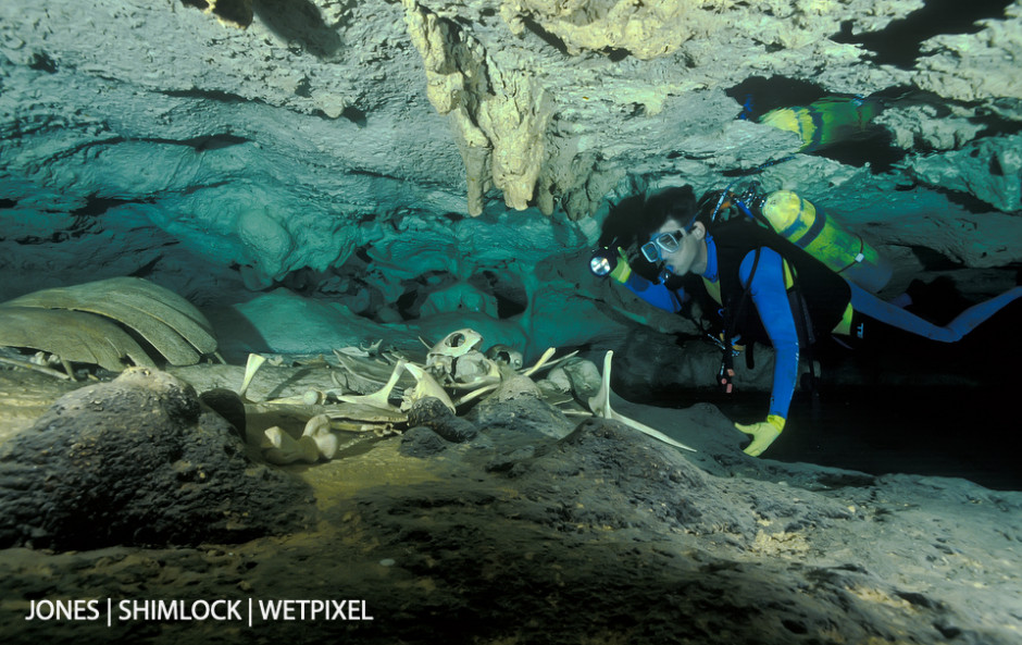 1991 (film): Sipadan Island, Malaysia. Turtles swim into the cave system under the island, get lost, and drown.