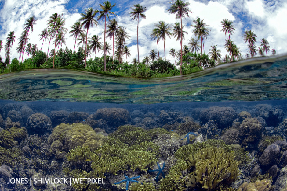 2006: Russell Islands, Solomon Islands. Camera held half in/half out of the water