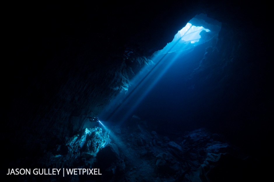 Massive cave springs like this one pour freshwater into estuaries along Florida's Gulf Coast. These springs support provide habitat for fish, birds, and manatees and create epic underground playgrounds.