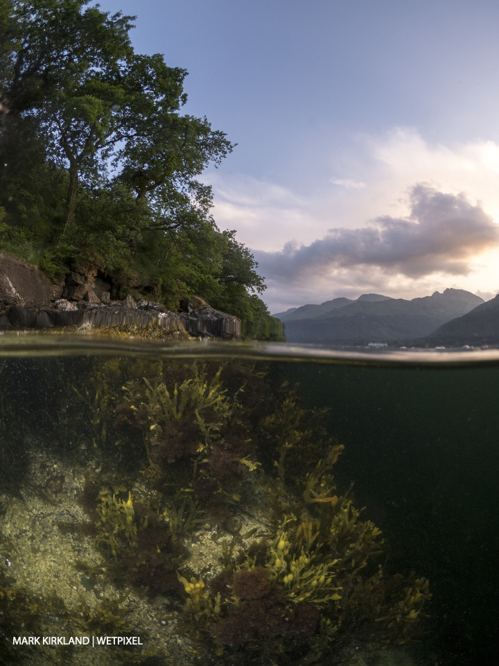 Split-level shot of Loch Long, Scotland.