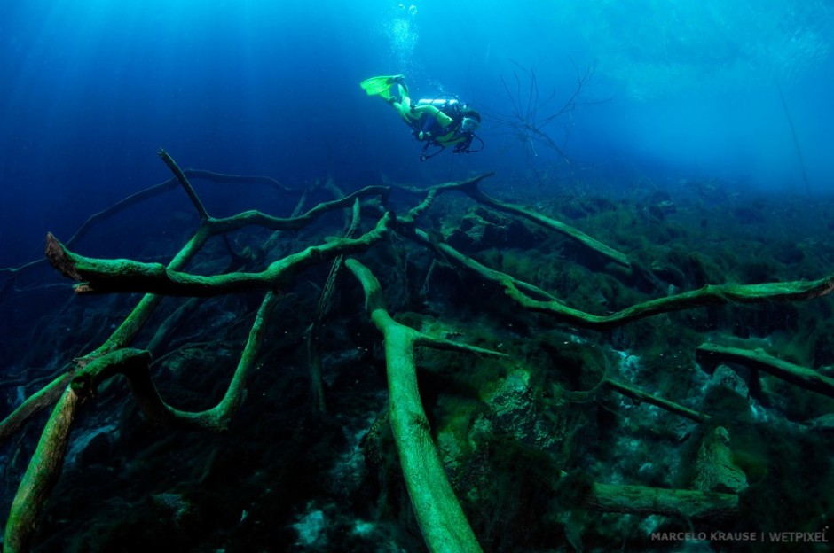 Diving at Lagoa Milagrosa (Caceres, MT), a sinkhole formed by the collapse of a cave. Divers have descended more than 650ft deep without reaching the bottom.