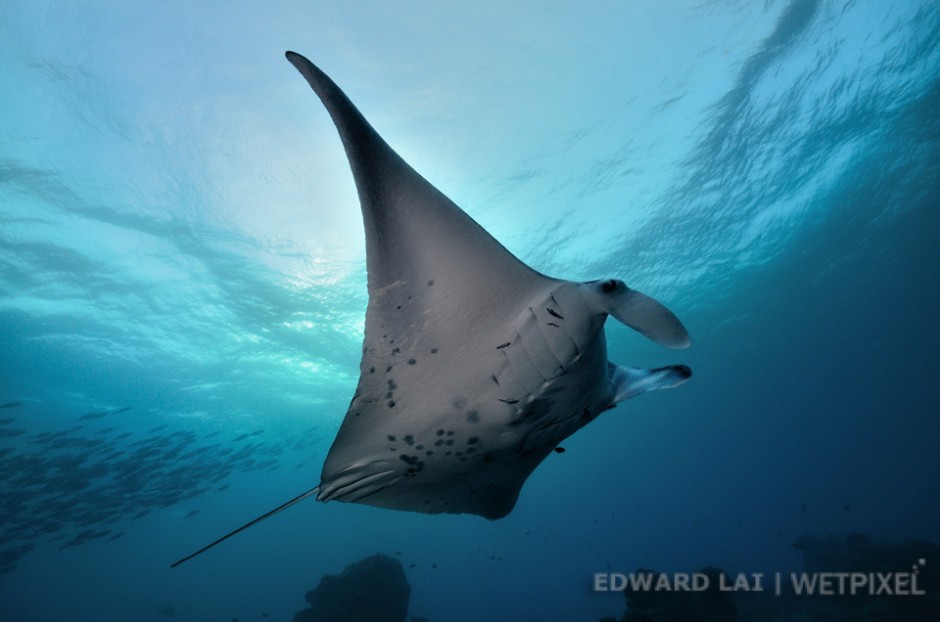 Nikon D7000 with Sigma 10-20mm, (1/200 @ f9 ISO 200), Maldives, September 2011.