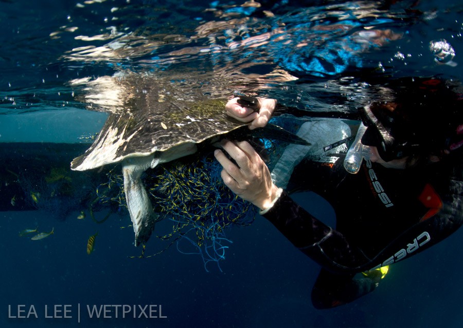 Bettina cutting the fishing net carefully.