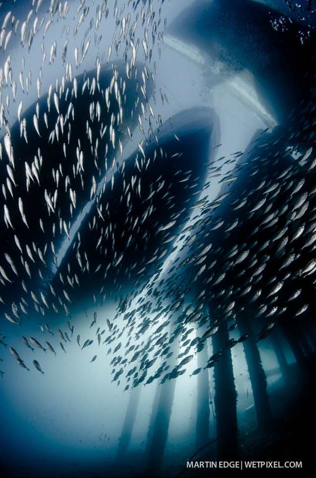 School under the jetty