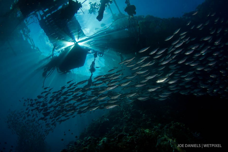 Early morning sun streams through a disused bagan (fishing platform) whilst a huge school of oxeye scad (*Selar boops)* congregate below.