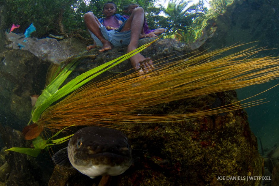 A large fresh water eel and a boy from Larike village peer into my dome port.