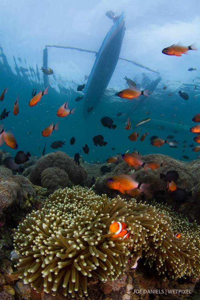 A young boy peers over the edge of his outrigger canoe to the underwater world below.