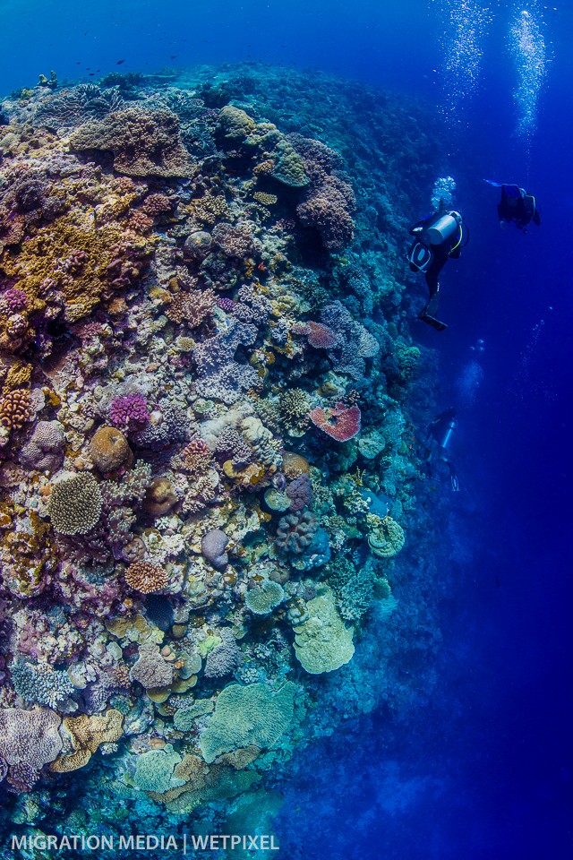 Divers drifting along clear deep wall.