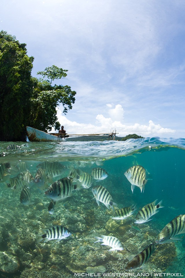 MR.  Over/under photo of traditional canoe and paddler with diverse marinelife below the surface.  Rest Orf Island, Kimbe Bay, West New Britain, Papua New Guinea