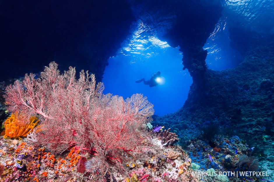 Boo windows is one of the signature dives in Warakaraket, Misool Area.