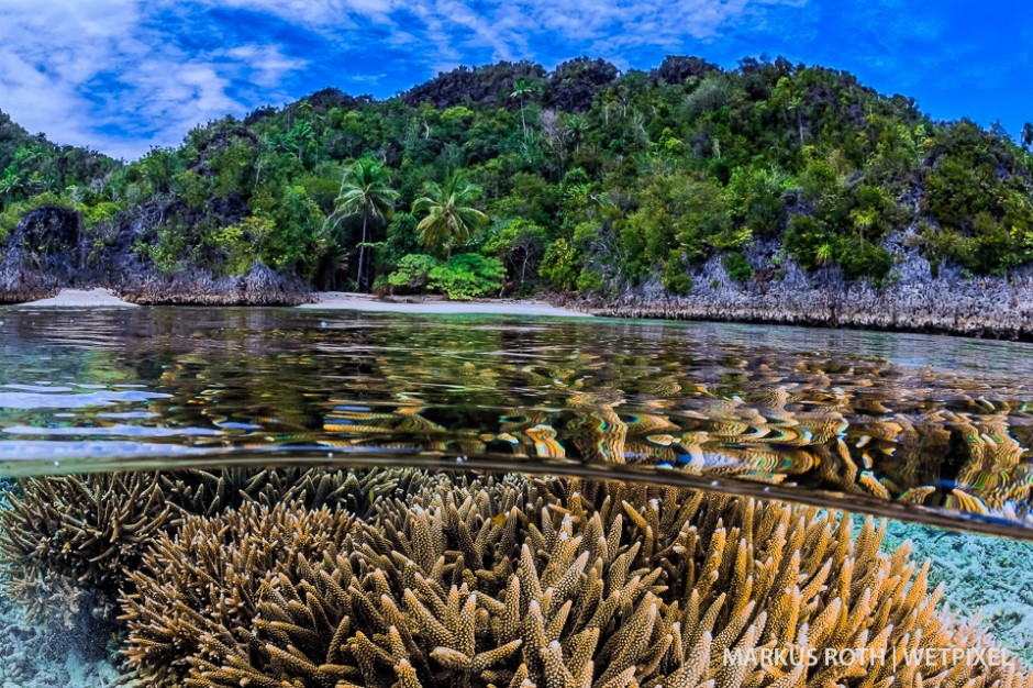 Split shot in the Daram Area in Raja Ampat.