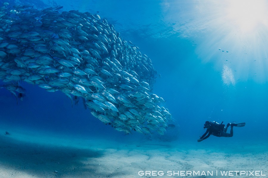 The clear waters of Cabo Pulmo make for iconic photo ops