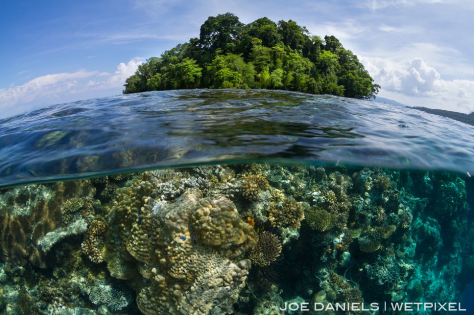 A large fringing reef surrounds Restorf Island providing incredible split level opportunities.