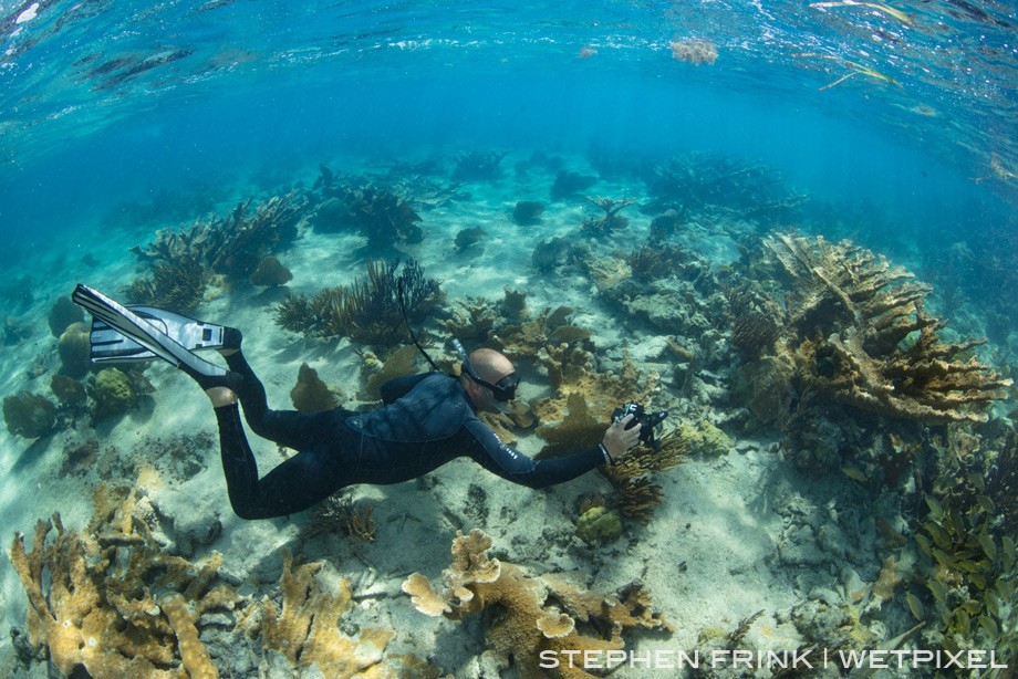 Scuba diving is prohibited amid these coral gardens, and even weights are prohibited to assure zero contact with these fragile corals