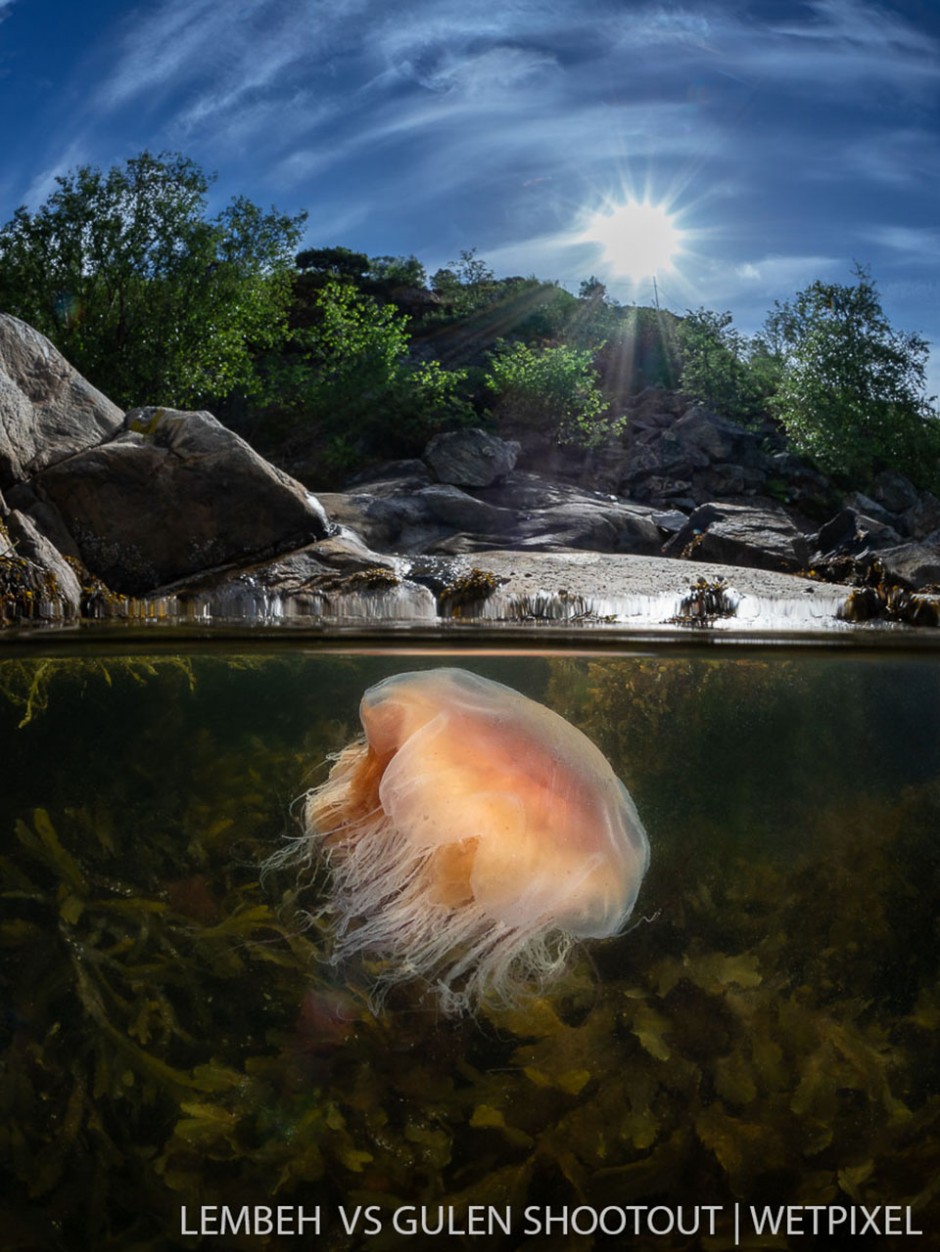 Galice Hoarau, Gulen Norway, Wide Angle