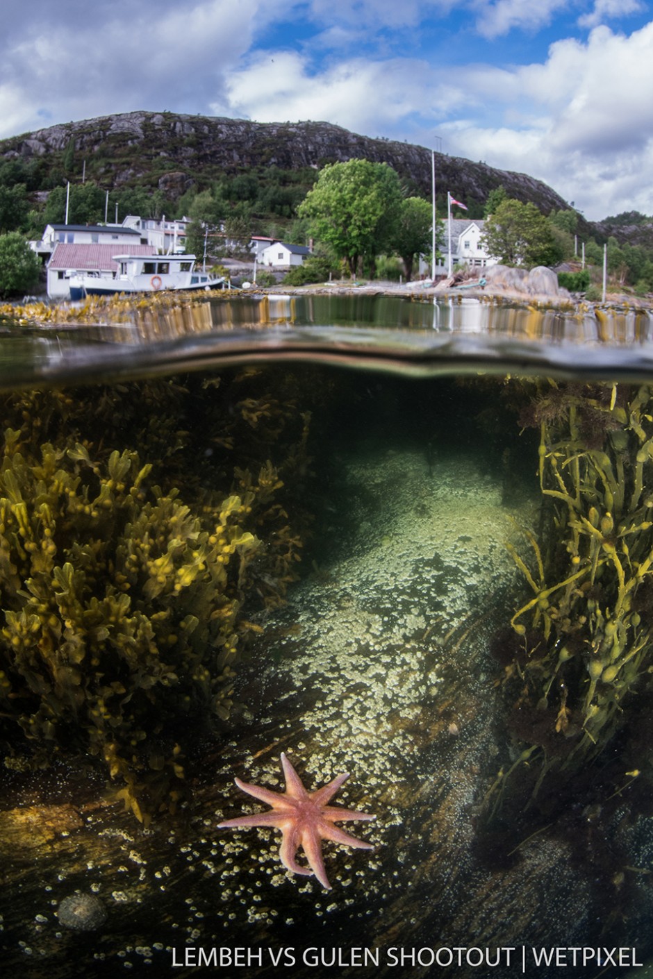 Orjan Sandnes, Gulen Norway, Wide Angle