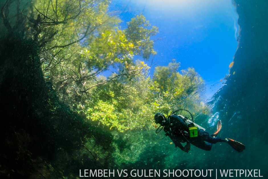 Marteyne van Wel, Lembeh Indonesia, Wide Angle