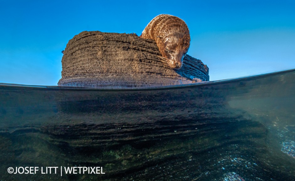 It was a bit of a schlepp to carry the camera in the housing for a mile and a half but it paid off in the rock pools.