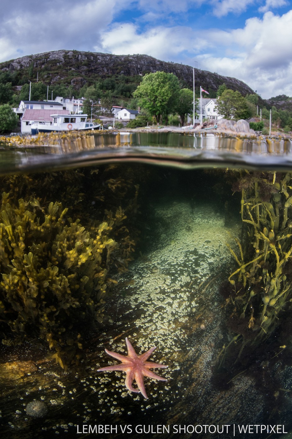 Lembeh vs Gulen Shootout: Ørjan Sandnes, Gulen Norway, Wide Angle