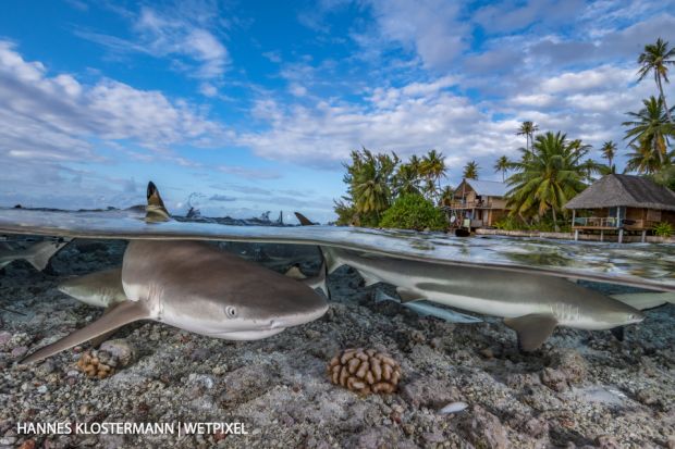 Hk french polynesia 2018 095