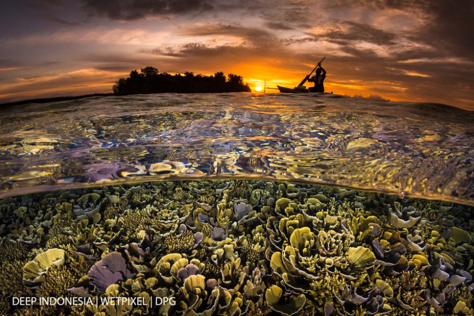 The overall winner and winner Over-Under category: “*Papuan Sunset*” by Grant Thomas

