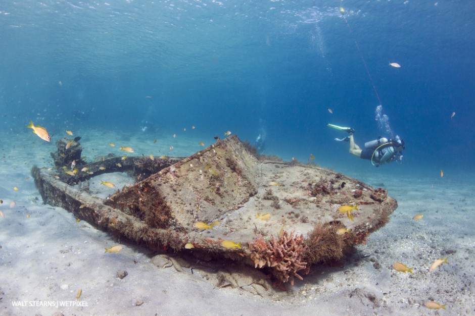 Referred to as the best shore dive and much dive in Florida, Blue Heron Bridge during the incoming tide can present surprisingly good underwater visibly along with a cache of fish and invertebrates.