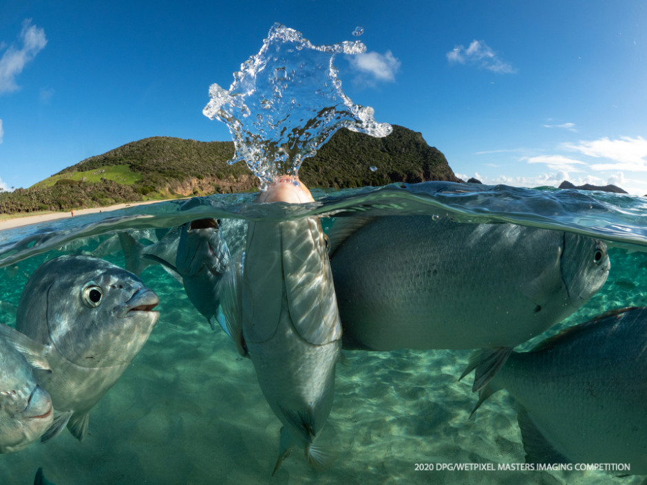 Overall and Wide Angle Unrestricted category Winner: **"Spurt" by Scott Portelli**.