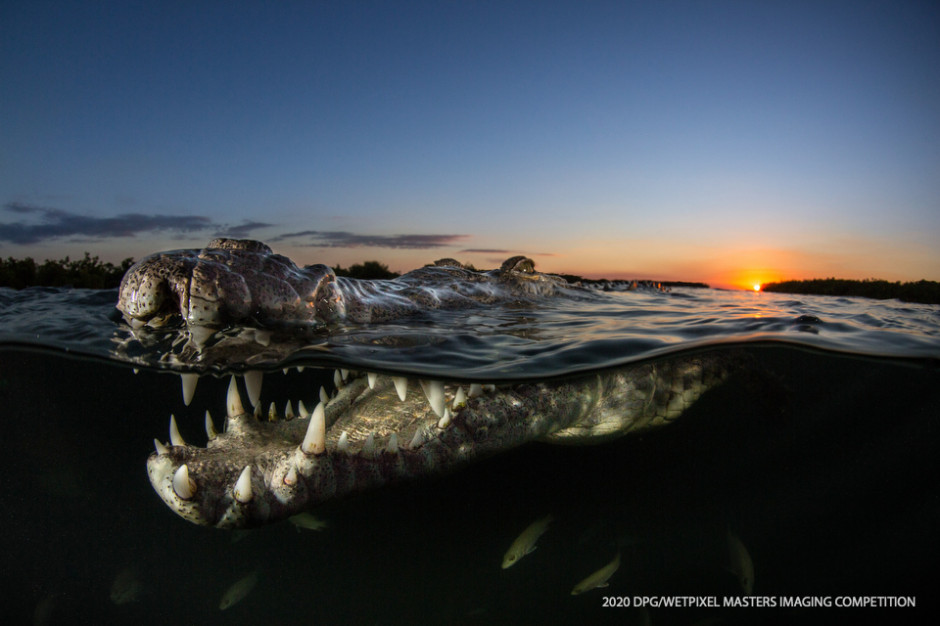 Wide Angle Unrestricted category Honorable Mention: **"Smile" by Alex Rose**.