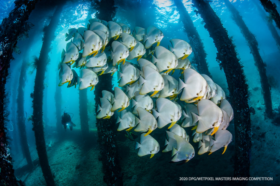 Wide Angle Traditional category Third place: **"Under the Pier" by Jose Antonio Castellano Garrido**.