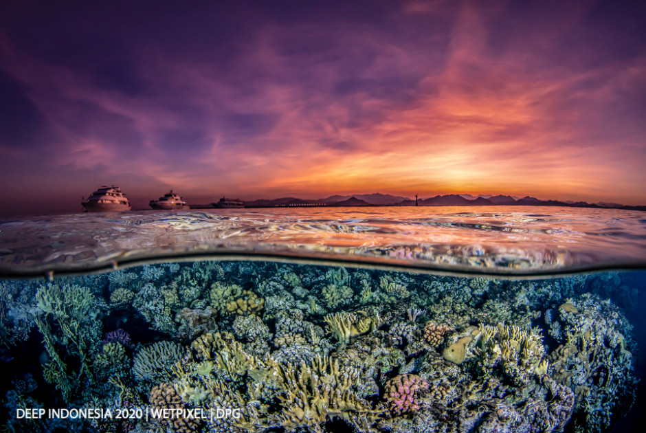 Reefscapes category winner: **Fressia Peng** | *Twilight*