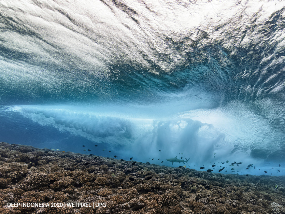 Reefscapes category second place: **Alex Dawson** | *Patrolling the Breakwater*