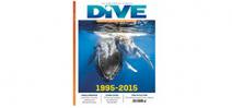 DIVE celebrates 20 years Photo