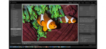Adobe Lightroom CC/6: Details and Review Photo