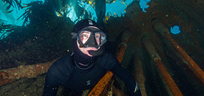 British Underwater Photography Championship results announced Photo