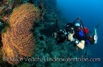 Reef respect Photo