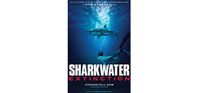 Trailer for Sharkwater Extinction has been released Photo