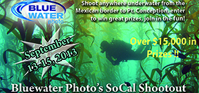 Call for entrants: SoCal Shootout Photo