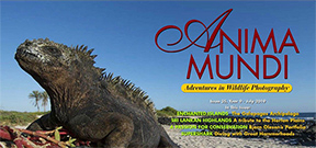 Issue 35 of Anima Mundi magazine available Photo