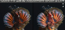 Tutorial: Erin Quigley on the Adjustment brush in LR4 Photo