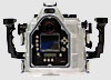 Nexus Nikon D2X Housing Photos Photo