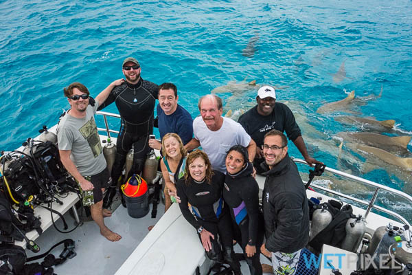 Shark diving in the Bahamas on Wetpixel