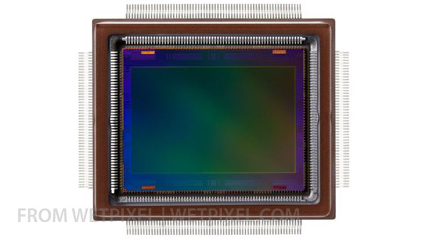 Canon 250mp sensor on Wetpixel