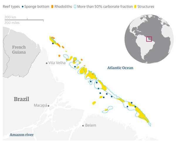 Amazon reef