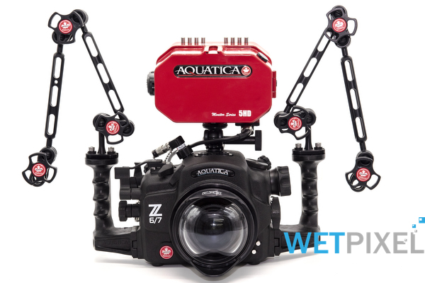 Aquatica Z series on Wetpixel