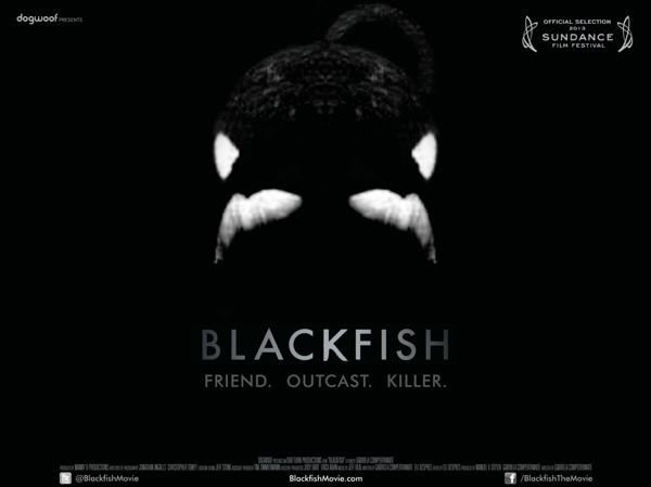 Blackfish