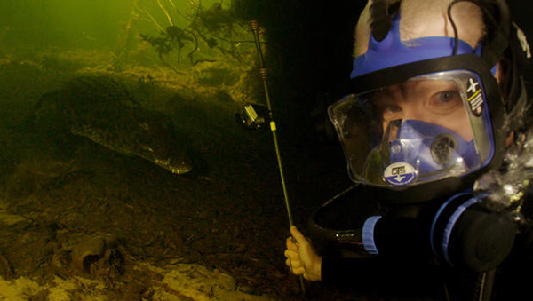 CBS anchor dives with crocs