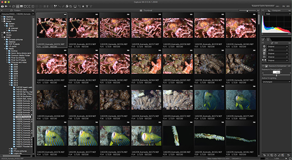 Nikon Capture NX-D on Wetpixel