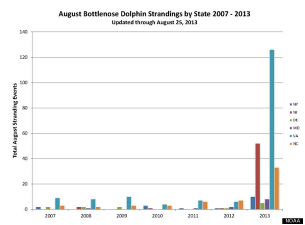 Dolphin graph