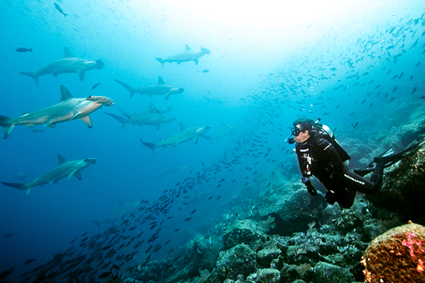 Peter Hughes in the Galapagos