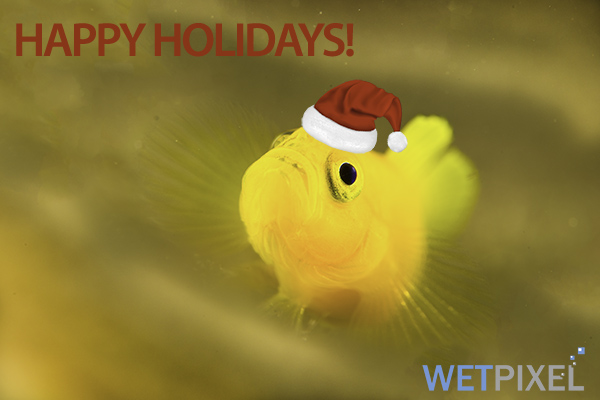 Happy holidays on Wetpixel